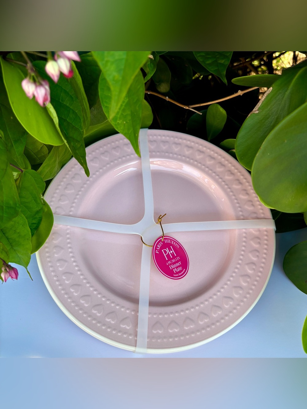 Paris Hilton Pink Heart Border Dinner Plates Set of 4 Stoneware 10.5 In. Rare